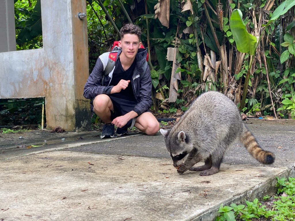 WhatsApp Bild 2024-11-14 um 12.46.34_8d2abcd9